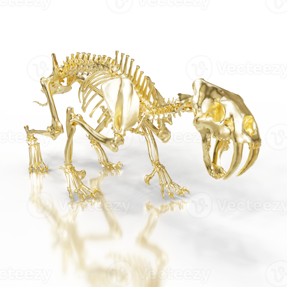 Ice Age Sabretooth Fossils png