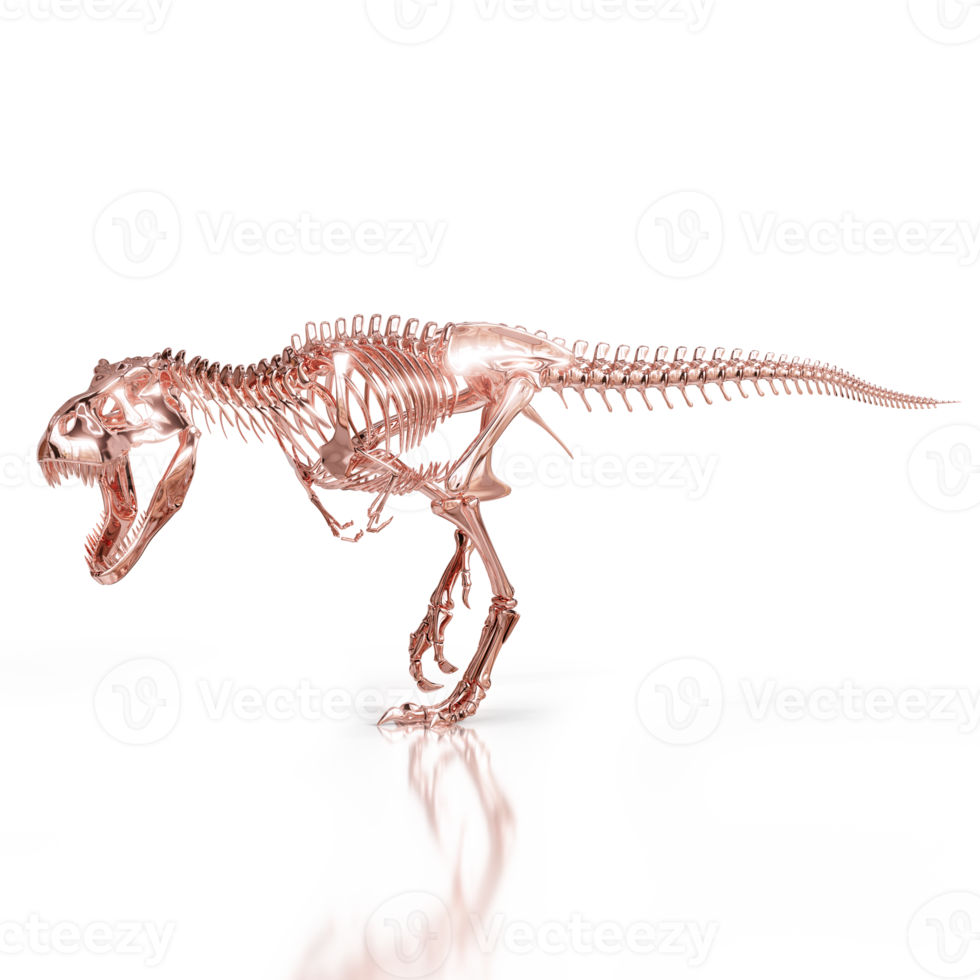 Jurassic Era Tyrannosaurus Skeleton png