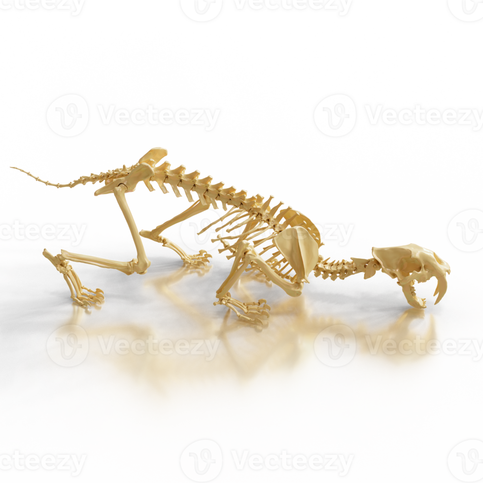 Sabretooth Fossil Excavation Scene png