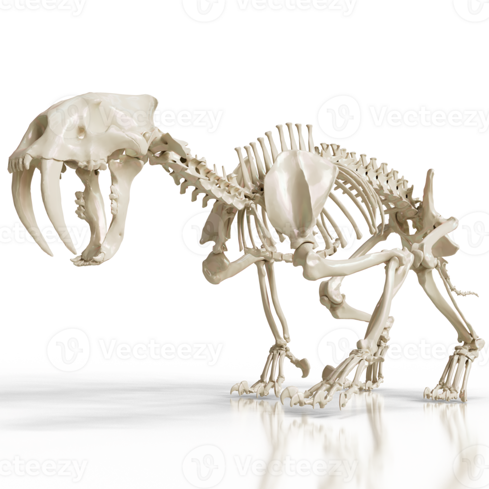 Sabretooth Fossilized Predator png