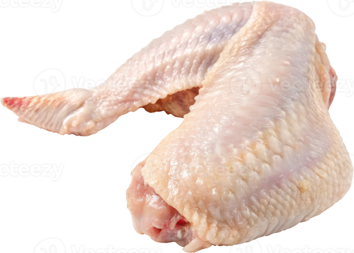 Close up of a raw uncooked chicken wing, The poultry meat is fresh organic and prepared for cooking or culinary png