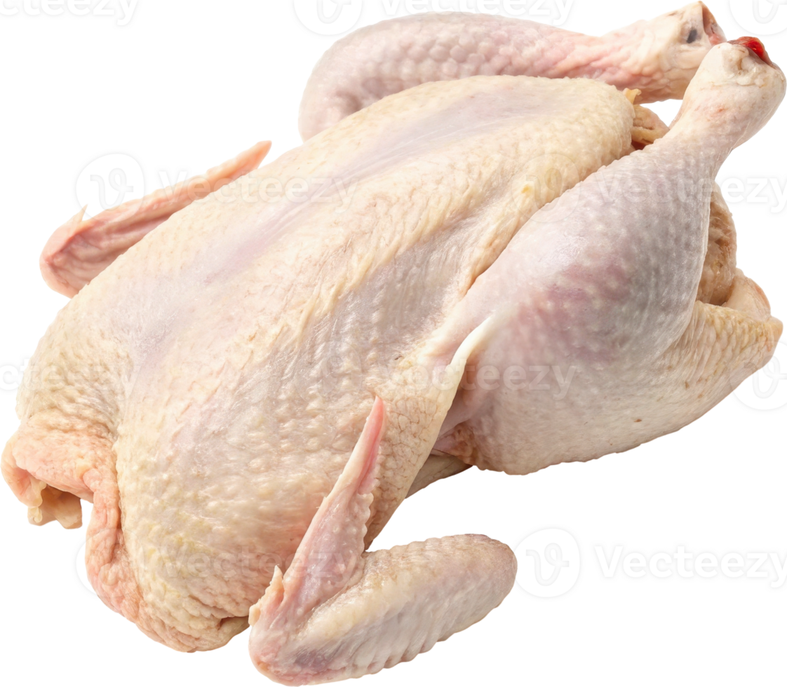 Whole Uncarved Spatchcock Chicken on Cooking Surface png