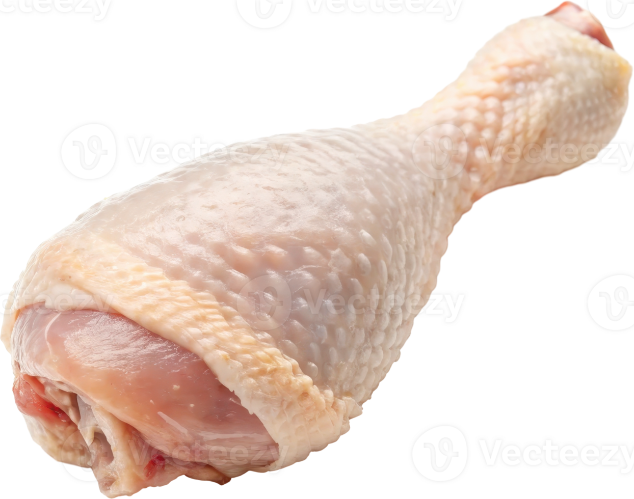 Freshly Prepared Raw Chicken Drumstick on Isolated Backdrop for Cooking or Meal png