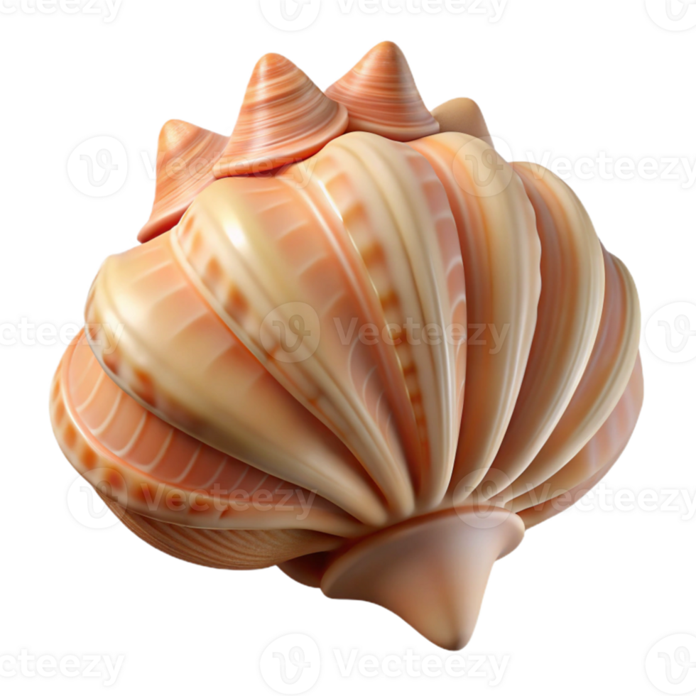 stunning artistic magnificent traditional A close-up of a seashell, intricate patterns, soft light, still life photography style original genuine png