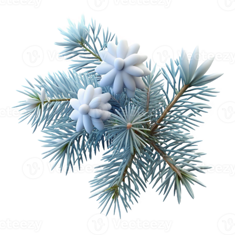 dramatic abstract impressive vintage A snow-covered pine branch, close-up, delicate snowflakes, soft lighting, winter wonderland style professional authentic png