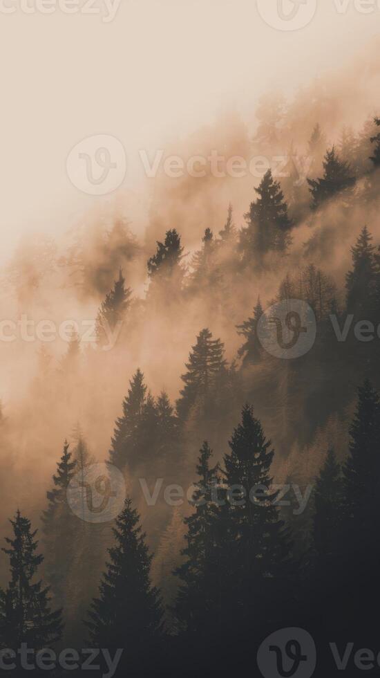 A foggy mountain with trees in the background photo