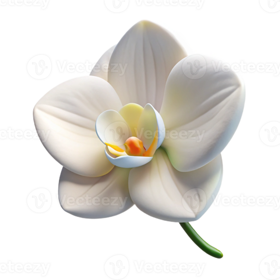 stunning contemporary serene minimalist A single, perfect white orchid, delicate petals, soft lighting, botanical illustration authentic professional png