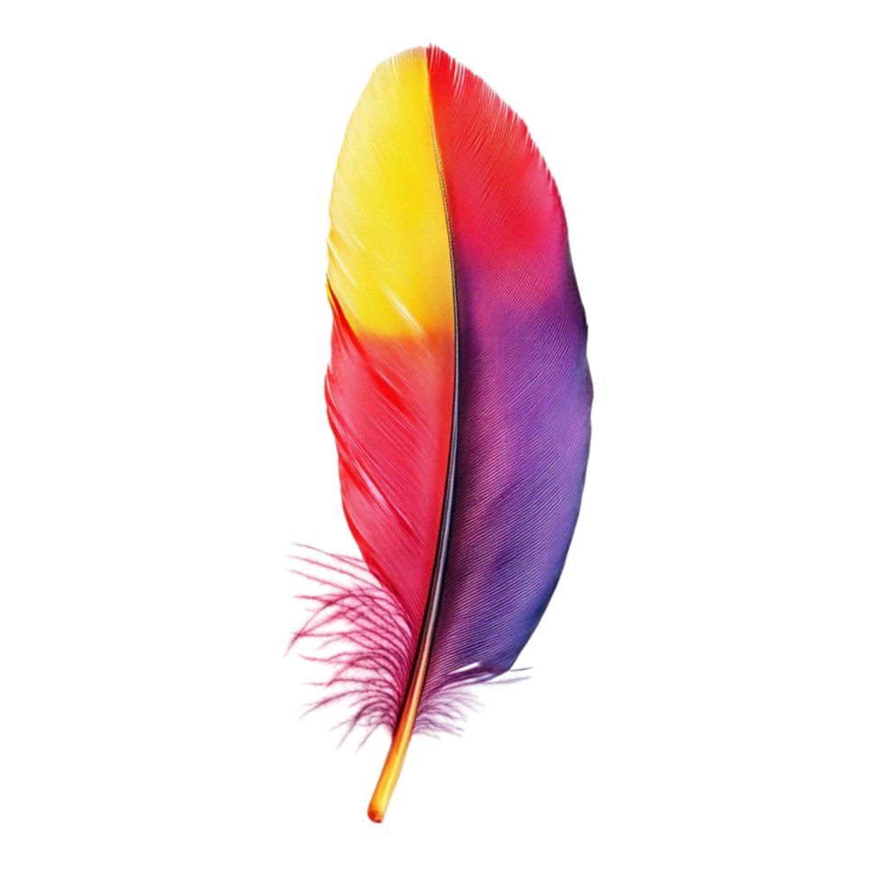 Vibrant multicolored feather with a gradient png