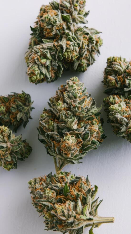 Marijuana buds on white background close up photo