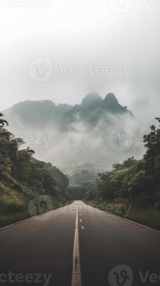 An empty road in the middle of a forest photo