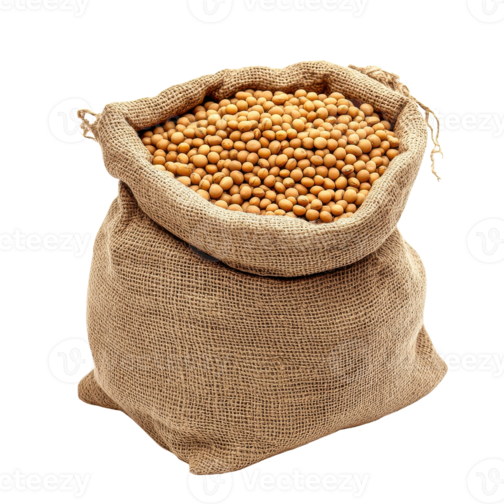Soybean Bag Isolated Background on transparent background. png
