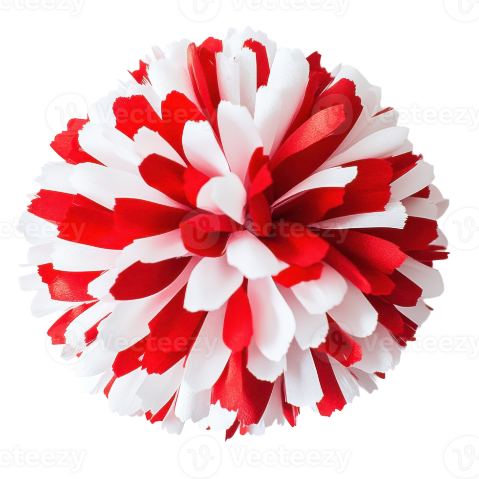 Cheerleader Pom Poms Close Up on transparent background. png