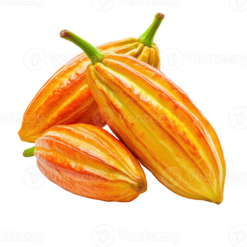 Cocoa Seeds White Background on transparent background. png