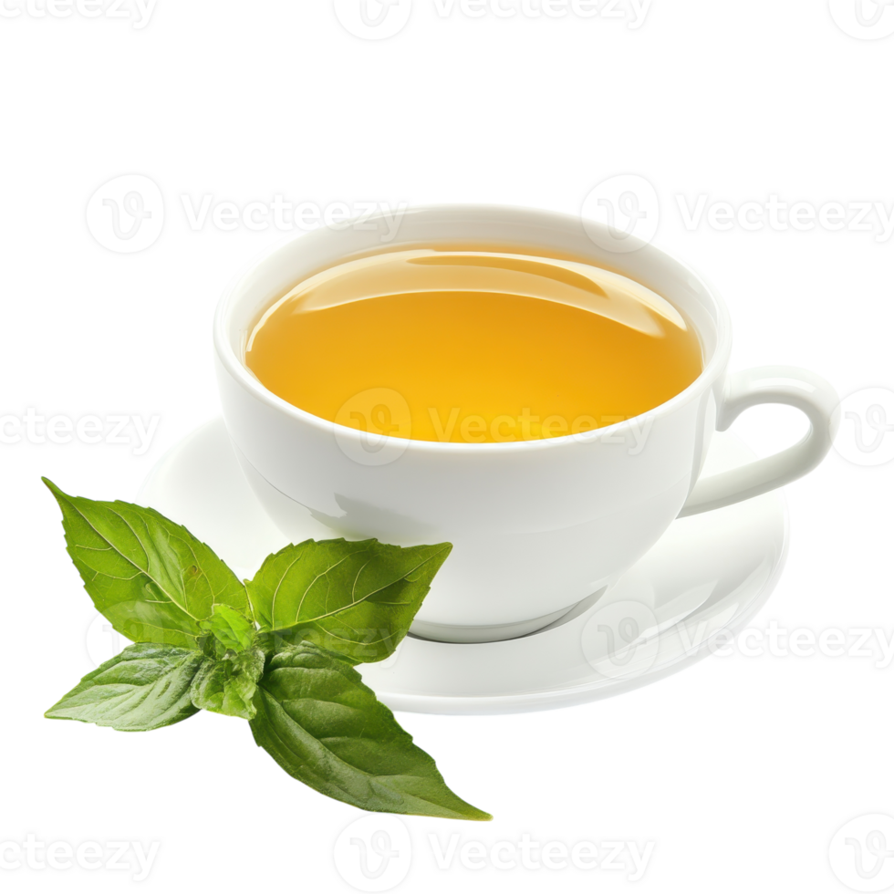 Green Herb Tea Cup White Background on transparent background. png