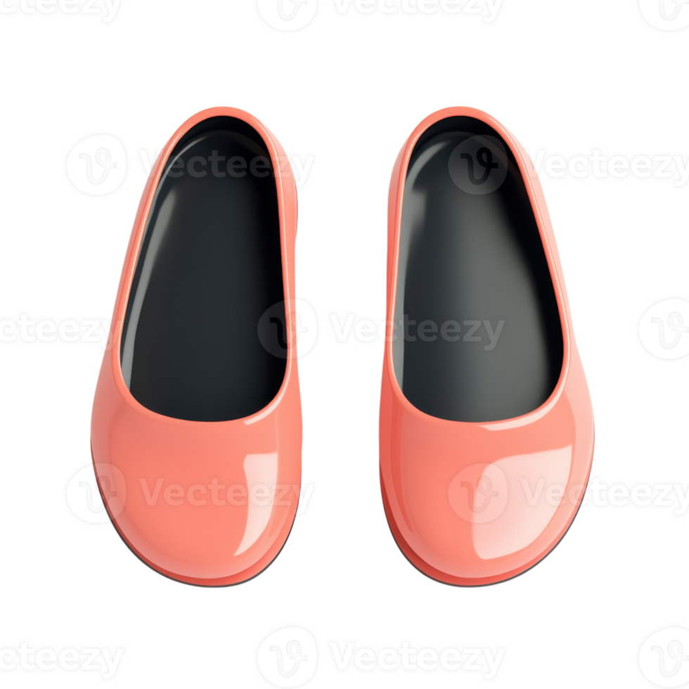 Stylish Flat Shoe 3D Model on transparent background. png
