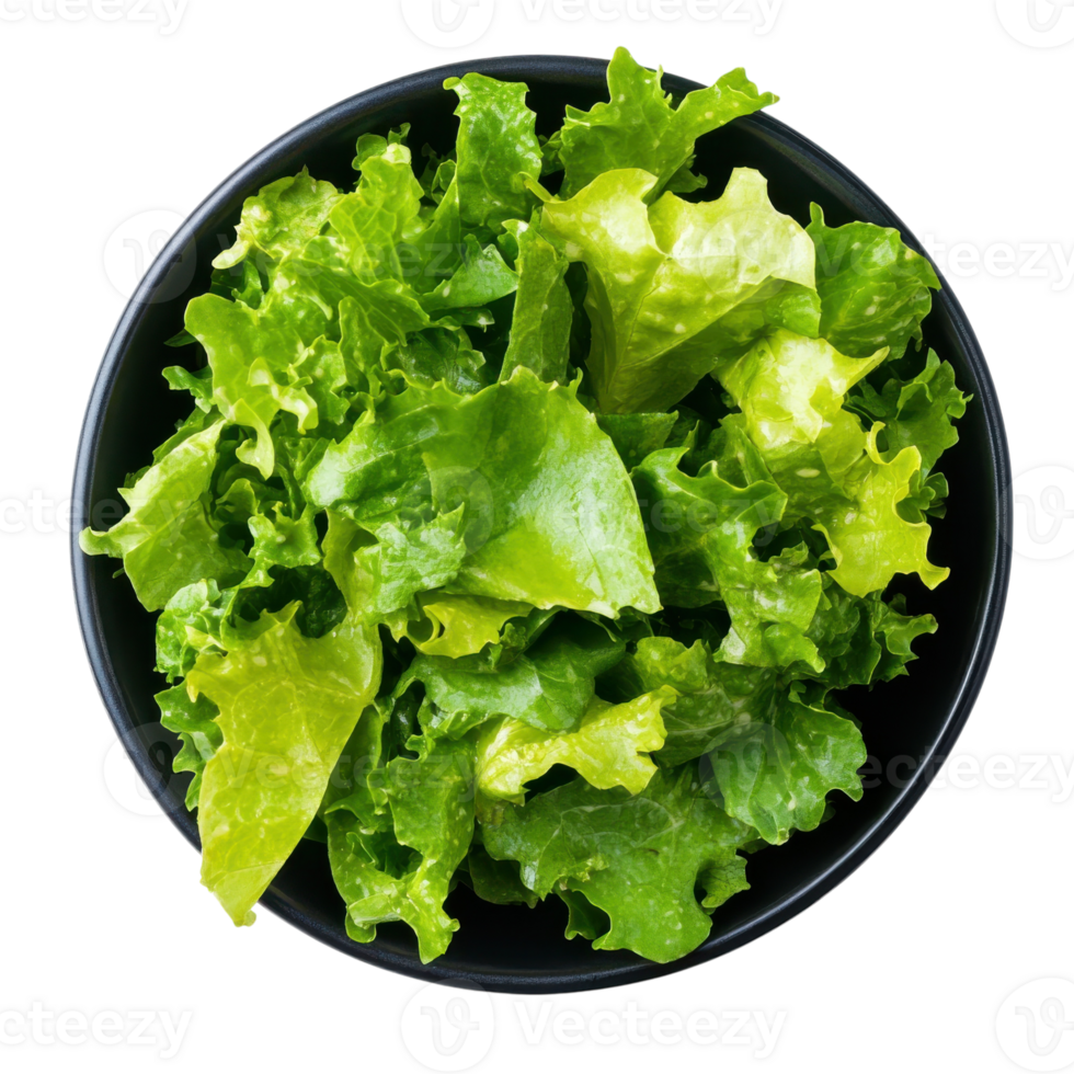 Fresh Green Salad Bowl on transparent background. png