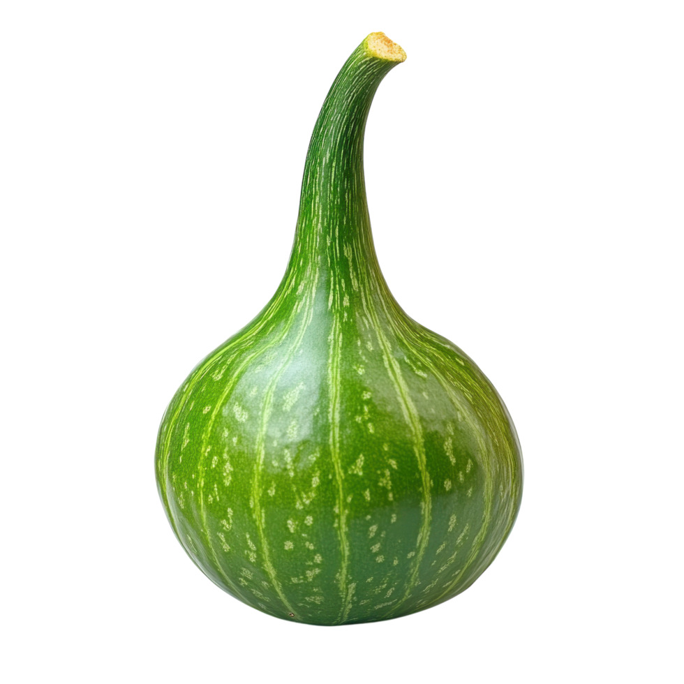 Green Calabash Gourd Still Life on transparent background. png
