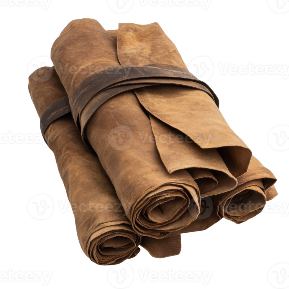 Brown Fabric Texture with Straps on transparent background. png