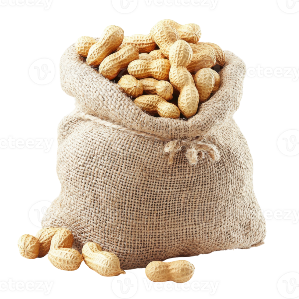 Roasted Peanuts Background on transparent background. png