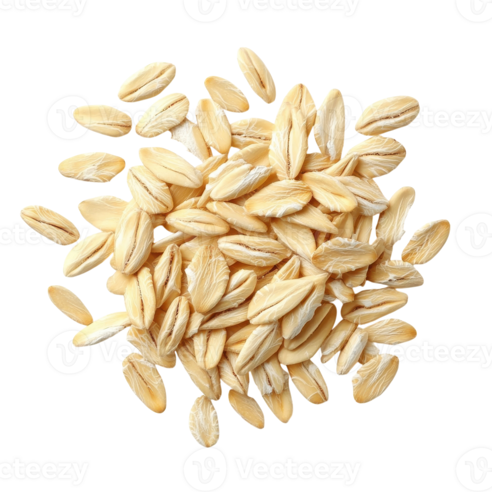 Single Oat Grain Macro Shot on transparent background. png