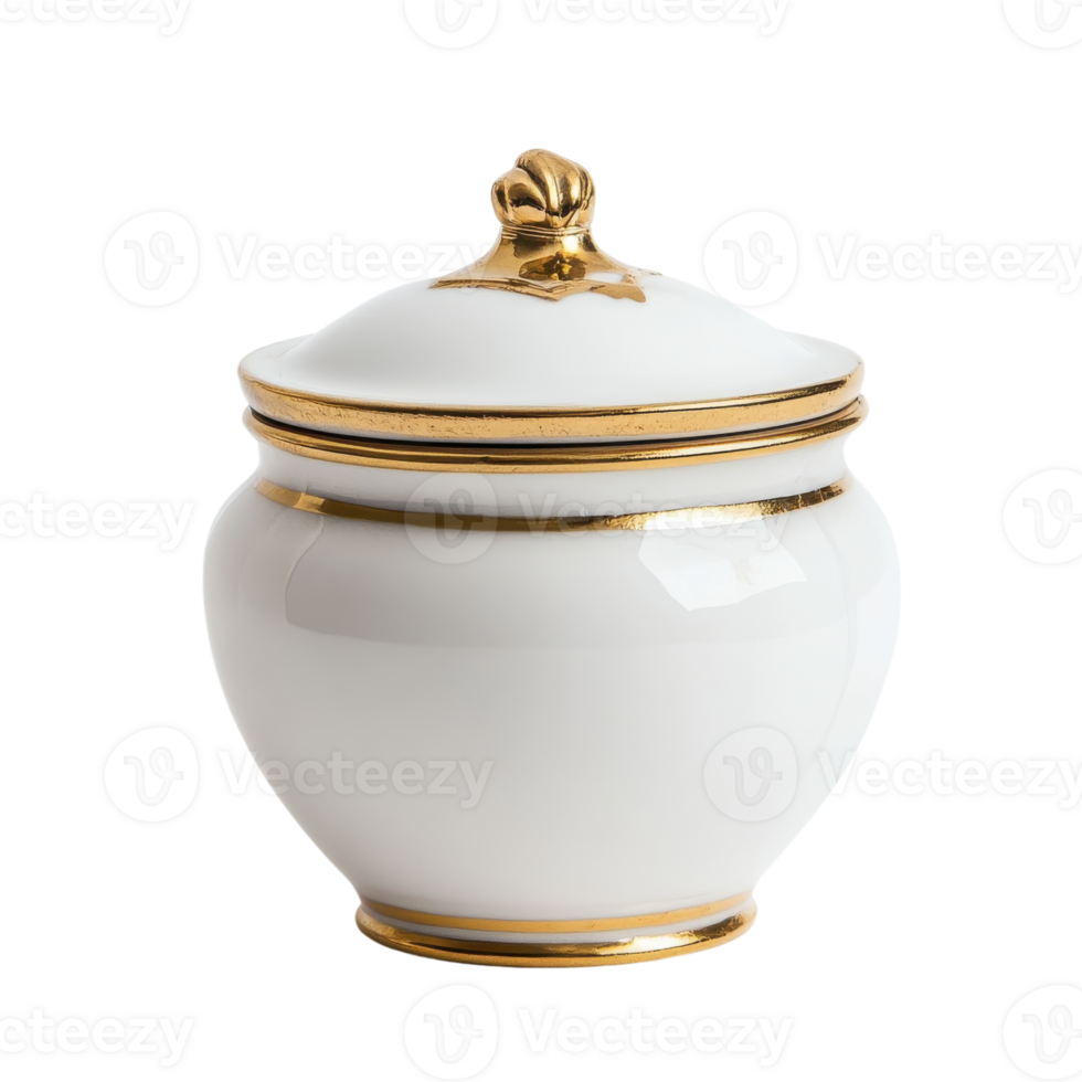 Elegant White Gold Pot Still Life on transparent background. png