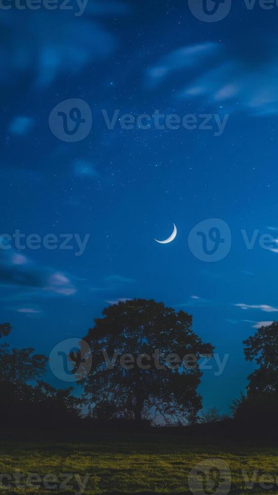 Moon and stars in the night sky photo