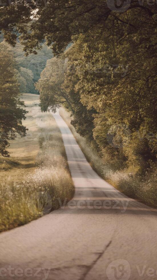 A country road with trees and grass photo