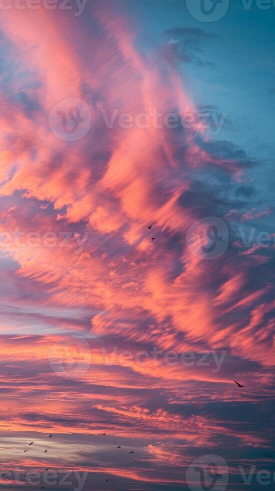 A colorful sunset with clouds and birds flying in the sky photo