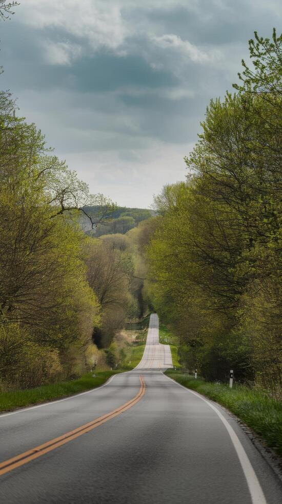 Road through landscape with fresh green trees in early spring on cloudy day photo