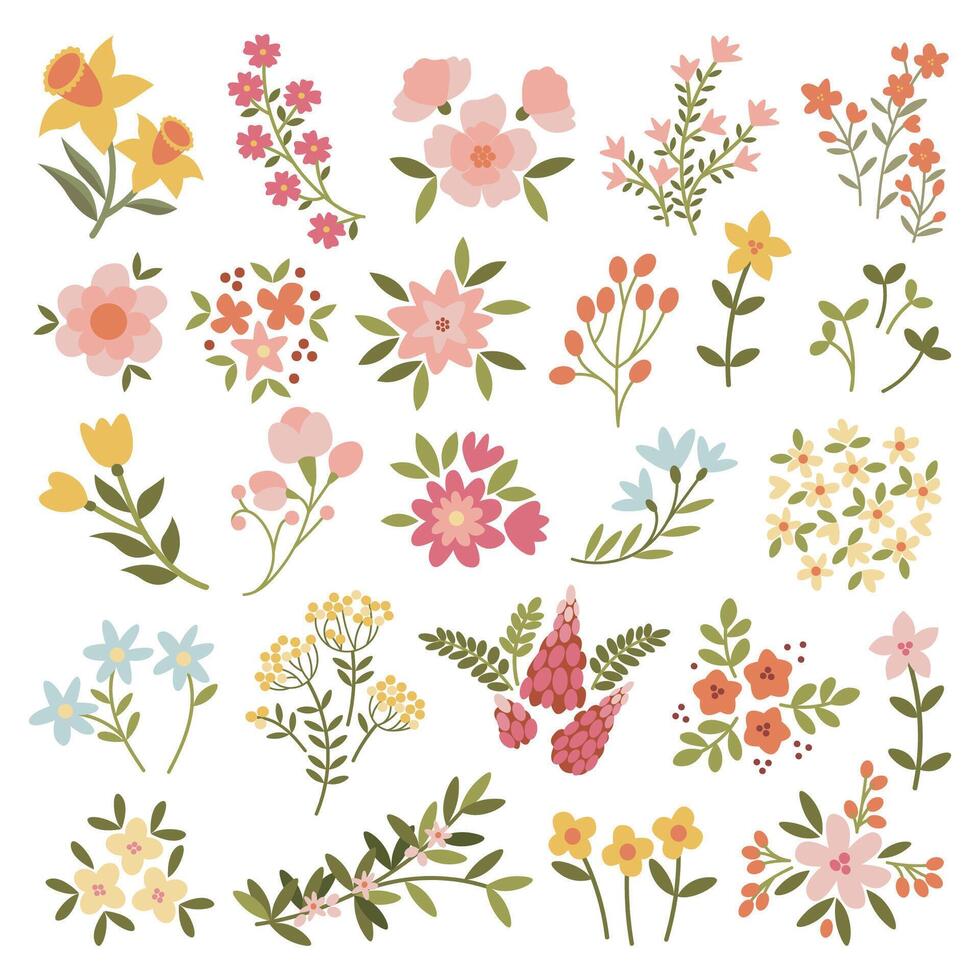 Set of Hand Drawn Spring Flower Colorful Elements. vector
