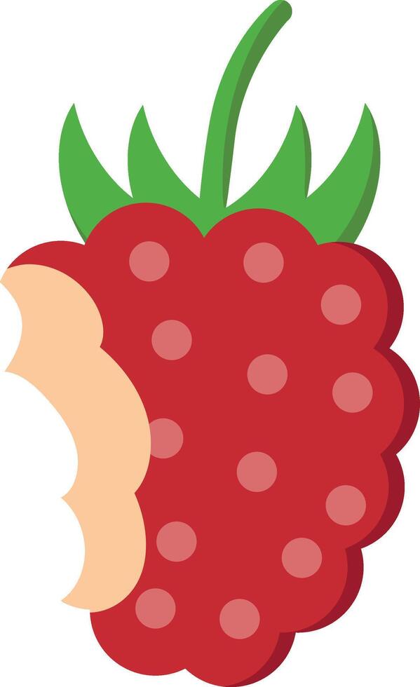 illustration of a bitten raspberry graphic vector
