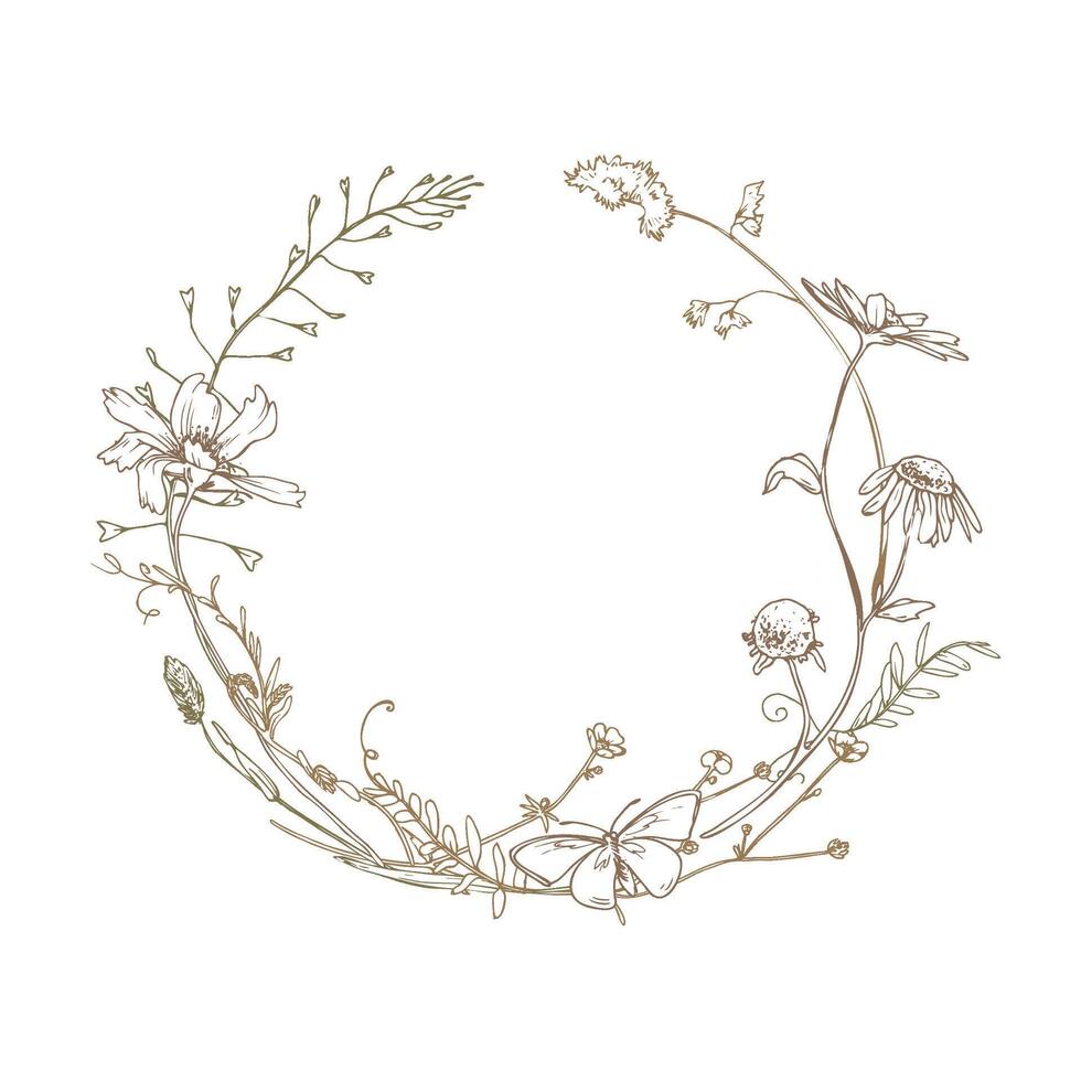 Field, meadow, wild flowers and herbs cosmos, chamomile, clover and insects. Line art is a simple hand-drawn illustration in beige, ochre, brown ink. Circle wreath frame EPS vector