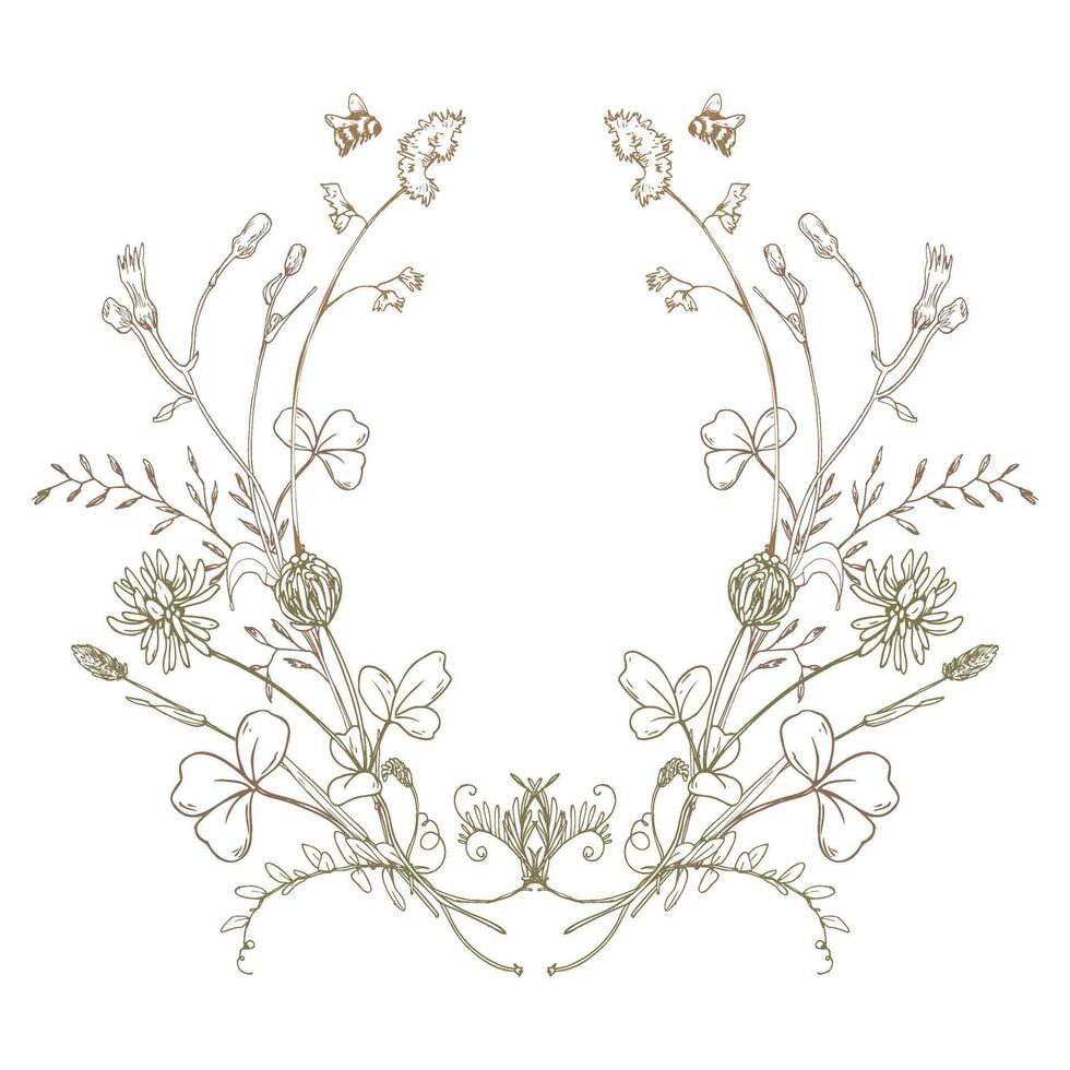 Field, meadow, wild flowers and herbs clover with shepherd s purse, pollen. Line art is a simple hand-drawn illustration in beige, ochre, brown ink. Circle wreath frame EPS vector