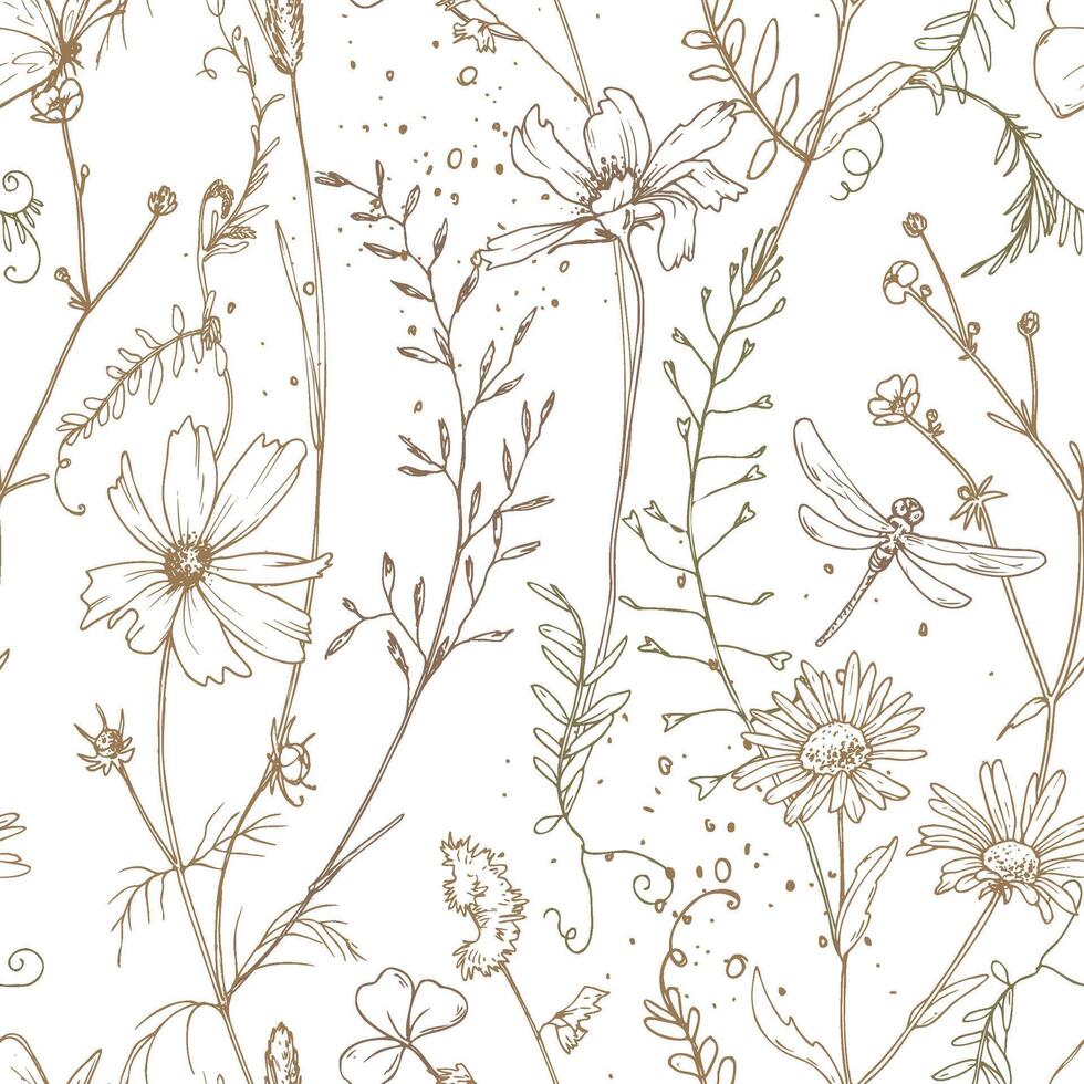 Field, meadow, wild flowers and herbs cosmos, chamomile, clover and insects. Line art is a simple hand-drawn illustration in beige, ochre, brown ink. Seamless pattern EPS vector
