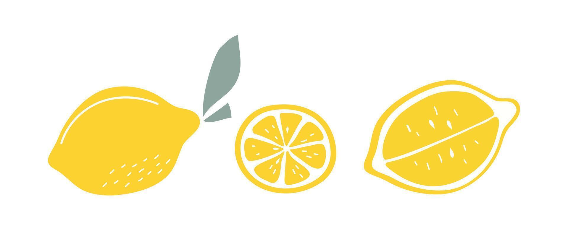 Lemons, set of simple abstract fruits. Colored flat illustration, graphics. Isolated white background. vector