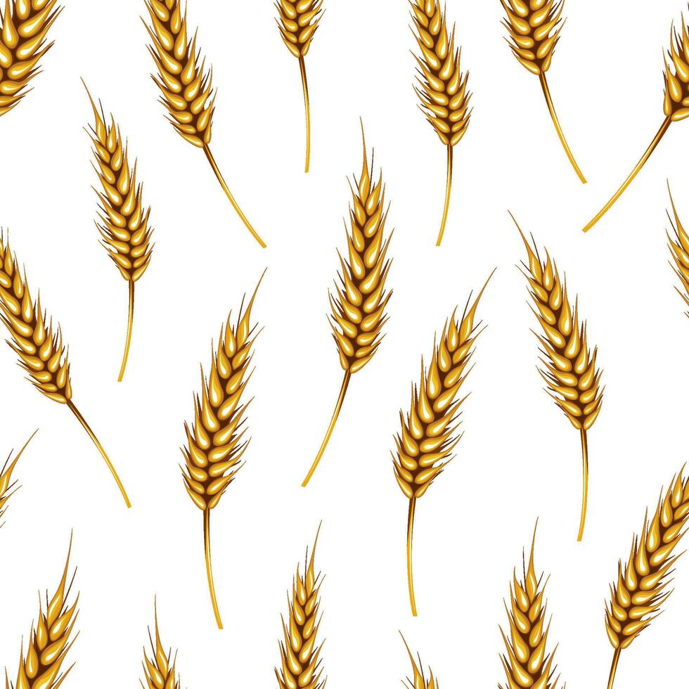 Wheat spikelets seamless pattern. Organic Wheat background. Organic food concept. Spikelet pattern for fabric, packaging, bakery shops. Hand Drawn illustration vector