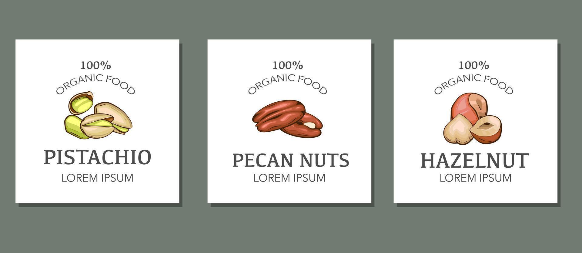 Nuts logo set templates. Pistachio, Pecan nuts, Hazelnut isolated on white background. Nuts Cartoon Style. Organic food concept. vector