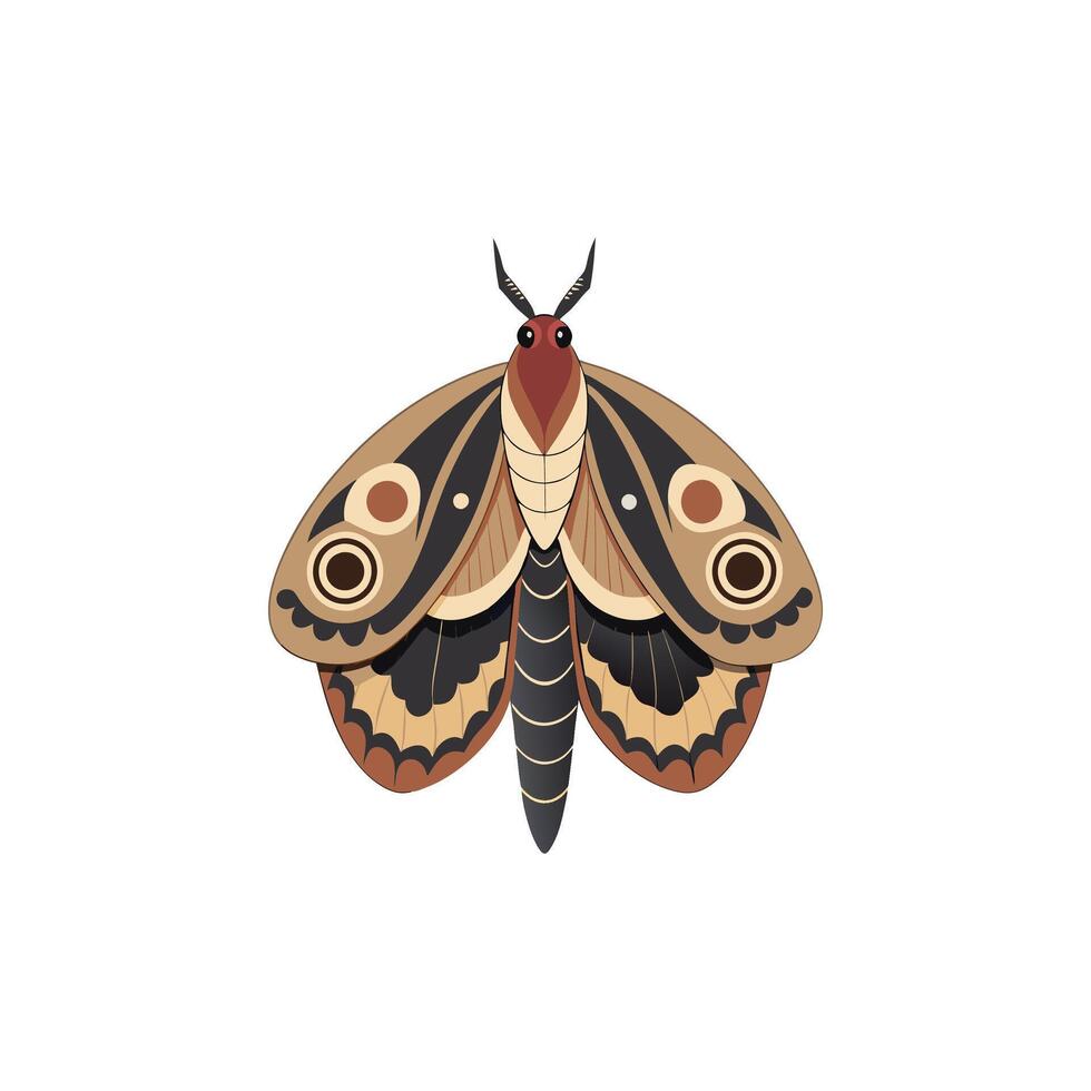 Nocturnal Elegance A Mesmerizing Moth Illustration Design vector