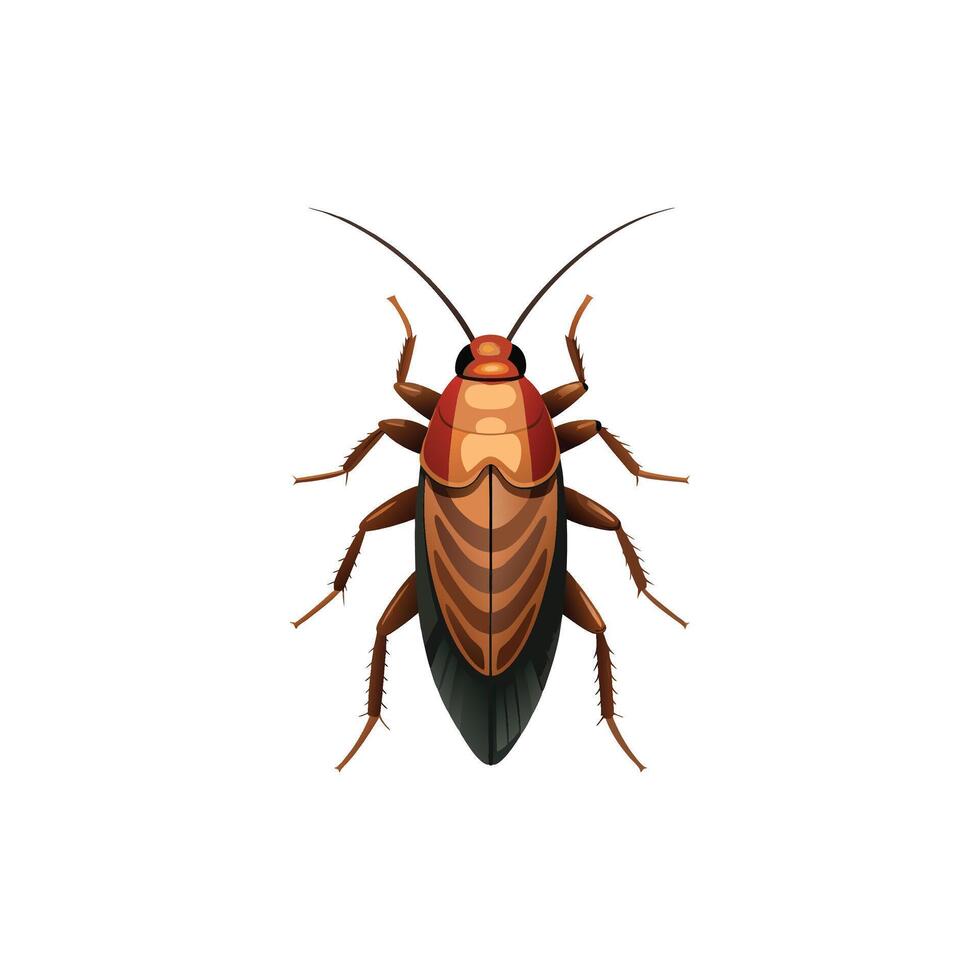 Shiny Shells A Bold American Cockroach Masterpiece vector