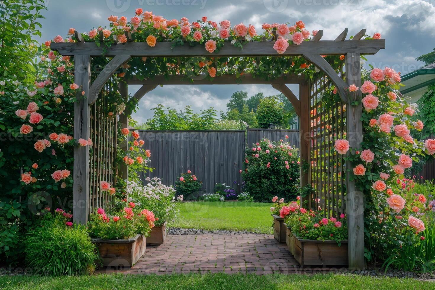 Peach roses climbing a wooden pergola in a lush garden photo