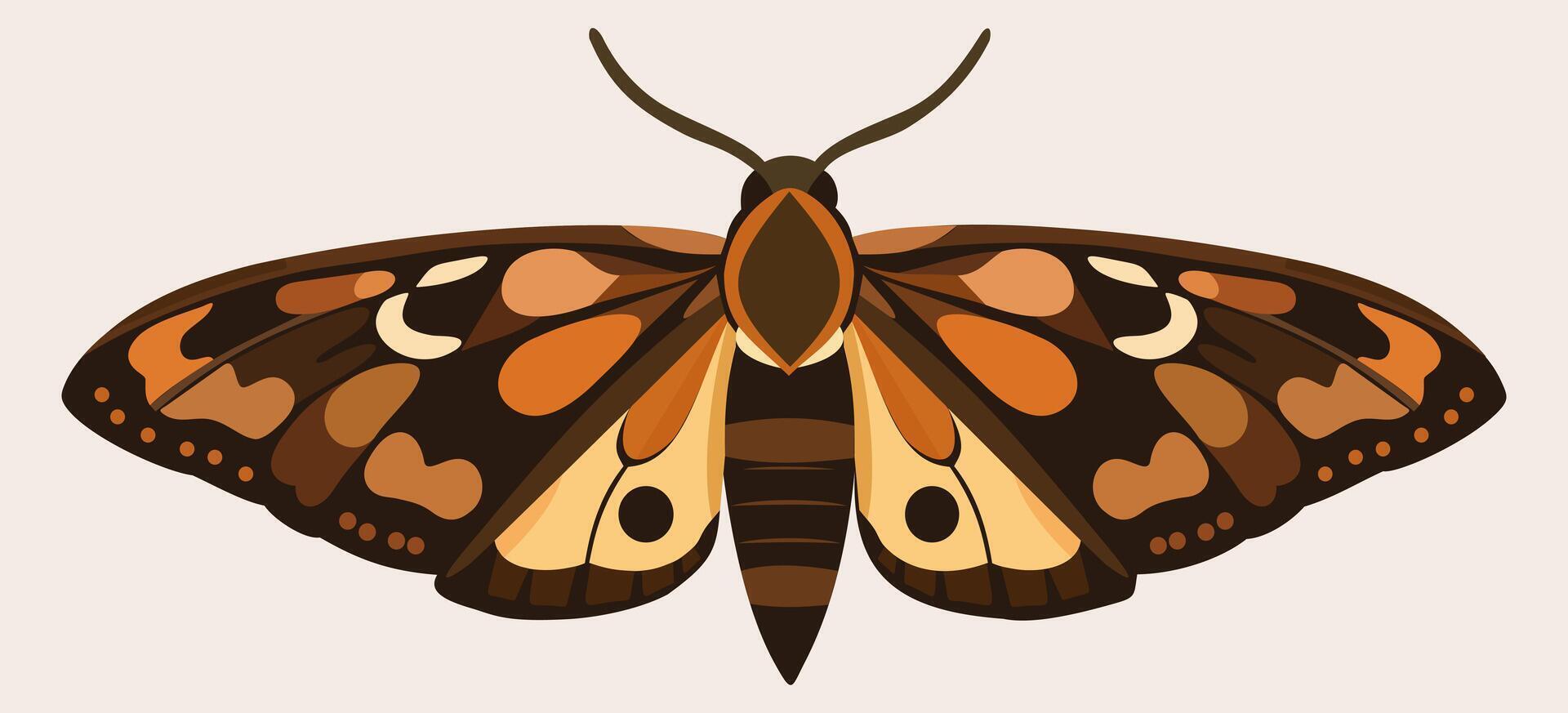 Moth. Boho decoraive isolated vector