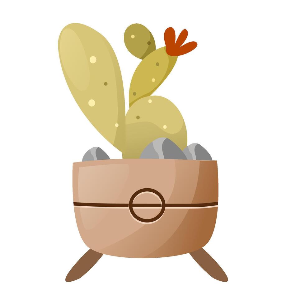 A cactus on white background vector