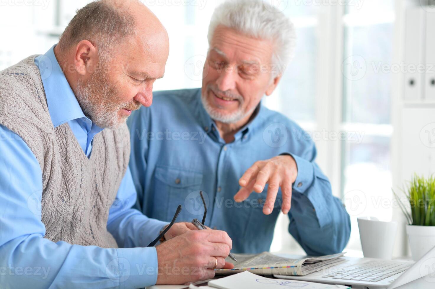 Portrait of two elderly men working on laptop in office photo
