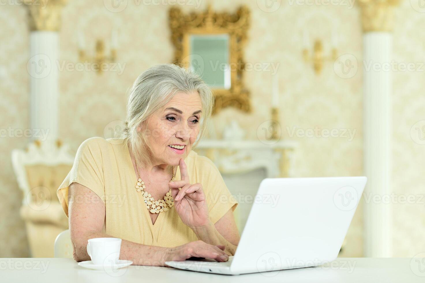 Beautiful elderly woman using a laptop at home photo
