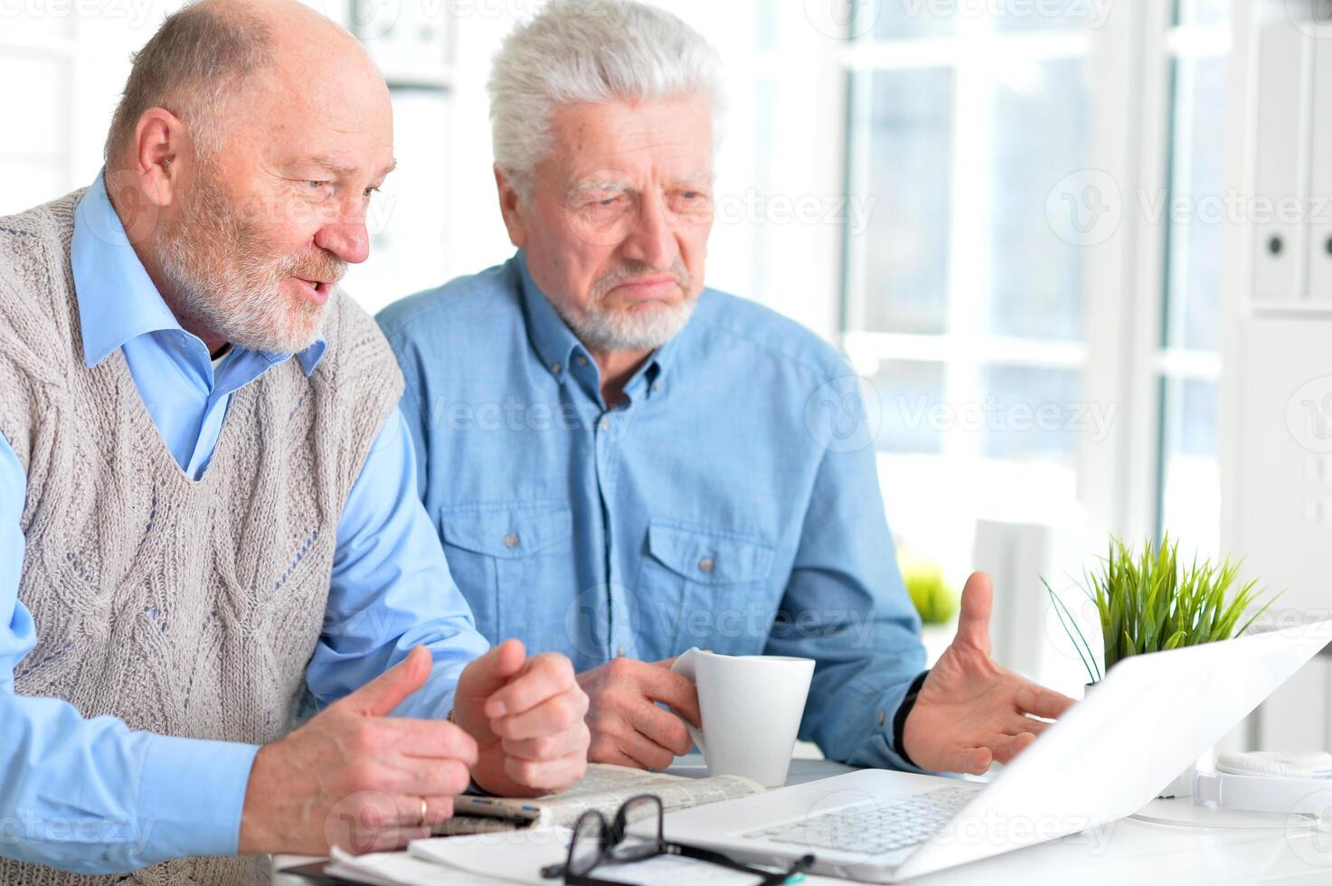Portrait of two elderly men working on laptop in office photo