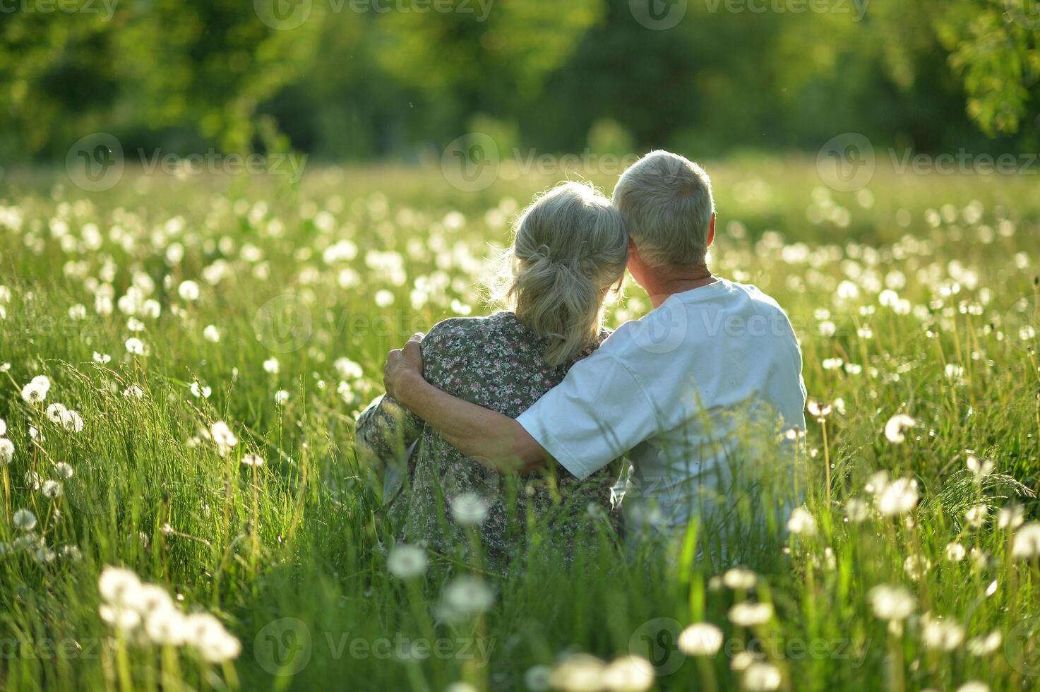 An elderly couple is sitting on the grass in a park rear view photo