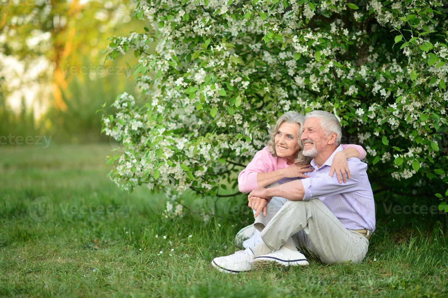 Portrait of senior couple sitting on the grass in the park photo
