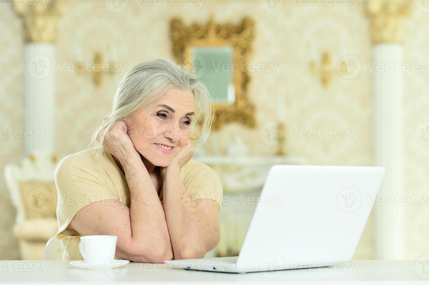 Beautiful elderly woman using a laptop at home photo