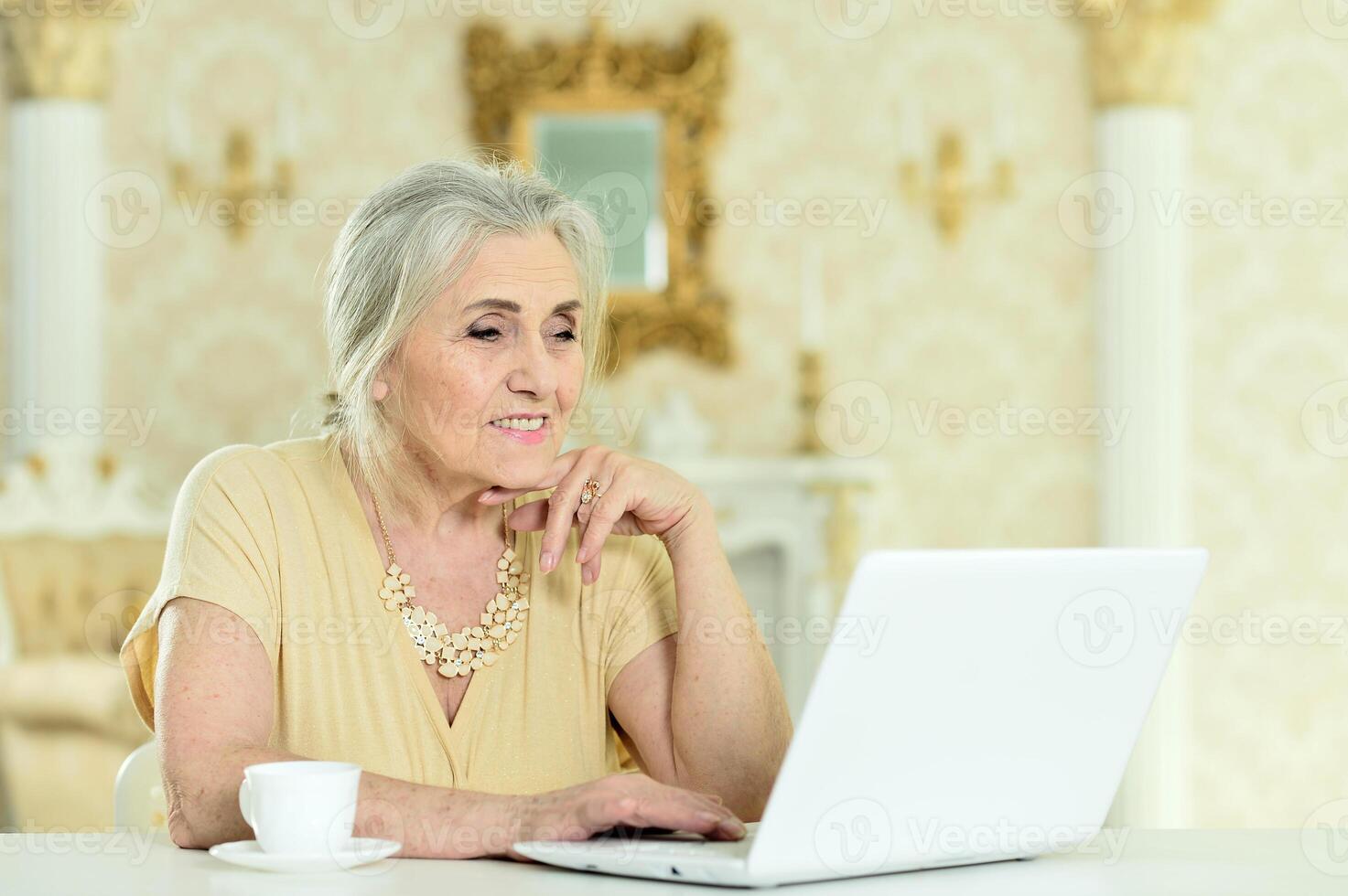 Beautiful elderly woman using a laptop at home photo