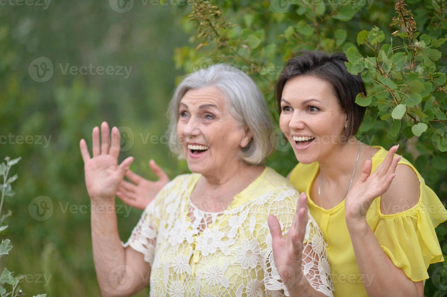 Portrait of an elderly woman with her daughter in the park photo